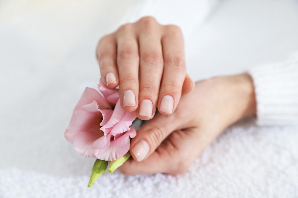 Nahaufnahme gepflegter, manikürter Hände mit einer rosa Blume in einer Spa-Umgebung.